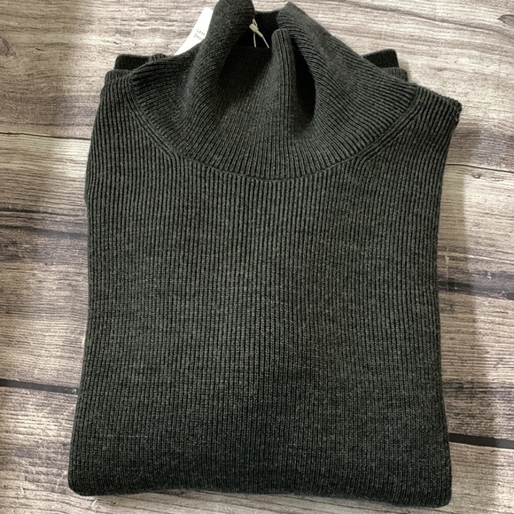 NWT EILEEN FISHER MERINO TURTLENECK TOP IN RESPONSIBLE WOOL - Picture 9 of 16